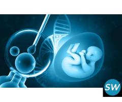 Low Cost Infertility Treatment  in Jaipur