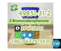 2-Bromovalerophenone CAS 49851-31-2 2-Bromo-1-phen - 1