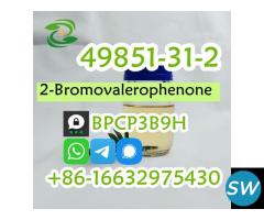 2-Bromovalerophenone CAS 49851-31-2 2-Bromo-1-phen - 2