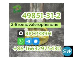 2-Bromovalerophenone CAS 49851-31-2 2-Bromo-1-phen - 3