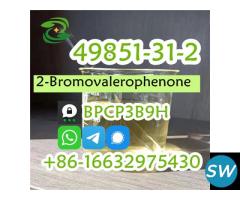 2-Bromovalerophenone CAS 49851-31-2 2-Bromo-1-phen - 4