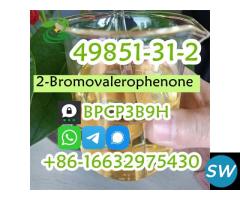 2-Bromovalerophenone CAS 49851-31-2 2-Bromo-1-phen - 5