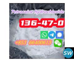 Selling High Purity 99% CAS 136-47-0 Tetracaine h