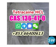 Selling High Purity 99% CAS 136-47-0 Tetracaine h - 4