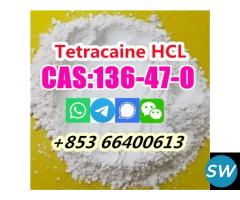 Selling High Purity 99% CAS 136-47-0 Tetracaine h - 5