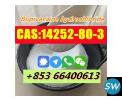 Factory Supply High Quality CAS 14252-80-3 Bupivac - 2