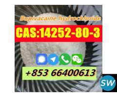 Factory Supply High Quality CAS 14252-80-3 Bupivac