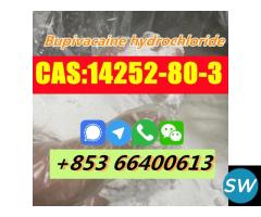Factory Supply High Quality CAS 14252-80-3 Bupivac - 5