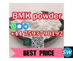 BMK Glycidic Acid Sodium Salt 5449-12-7 Poland - 1