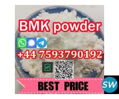 BMK Glycidic Acid Sodium Salt 5449-12-7 Poland - 2