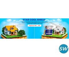 EXTRA PROTECTION WITH STAR PAINT SHIELD + - 3