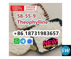 cas 58-55-9 Theophylline powder new arrival - 1