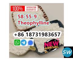 cas 58-55-9 Theophylline powder new arrival - 2