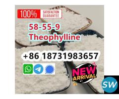 cas 58-55-9 Theophylline powder new arrival - 4