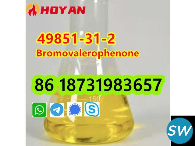49851-31-2 OIL Bromovalerophenone door to door - 1