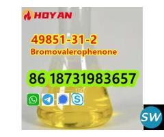 49851-31-2 OIL Bromovalerophenone door to door - 1