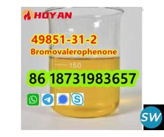 49851-31-2 OIL Bromovalerophenone door to door - 2