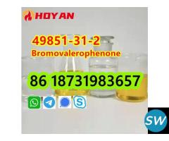 49851-31-2 OIL Bromovalerophenone door to door - 3