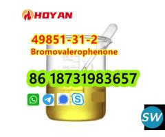 49851-31-2 OIL Bromovalerophenone door to door - 4