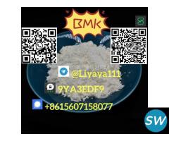 Best selling BMK Glycidic Acid powder - 2