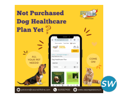 Dog Healthcare Plan