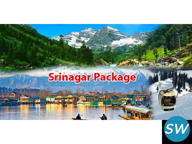 Srinagar 4N 5D starting from 18000/- Per Person - 1