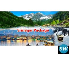 Srinagar 4N 5D starting from 18000/- Per Person