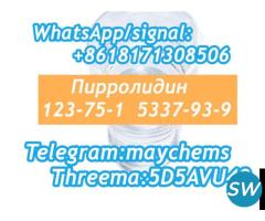 123751 Tetrahydro pyrrole kazakhstan fast delivery
