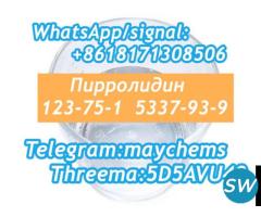 123751 Tetrahydro pyrrole kazakhstan fast delivery