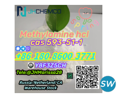 CAS 593-51-1 Methylamine hcl Threema: Y8F3Z5CH