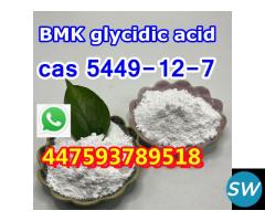 bmk powder bmk glycidic acid(powder) mexico supply - 4