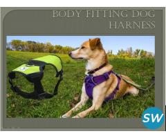 Cat Harness And Leashes Manufacturer