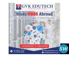Study MBBS abroad consultants in Warangal