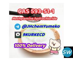 Good Price CAS 593-51-1 Methylamine hydrochloride - 1