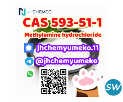 Good Price CAS 593-51-1 Methylamine hydrochloride - 3
