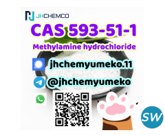Good Price CAS 593-51-1 Methylamine hydrochloride - 4