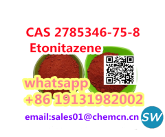 CAS 2785346-75-8 Etonitazene - 1