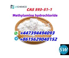 CAS 593-51-1 Methylamine hydrochloride - 1