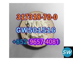 317318-70-0  GW501516 high puirty fast shipping - 1