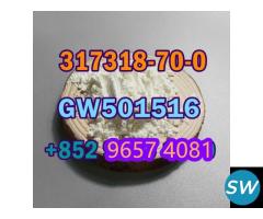 317318-70-0  GW501516 high puirty fast shipping - 2