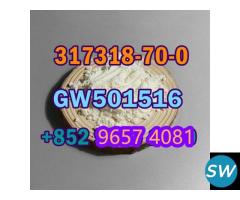 317318-70-0  GW501516 high puirty fast shipping