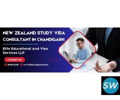 New Zealand Study Visa Consultant In Chandigarh - 1