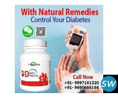 Manage Diabetes in A Natural and Healthy Way - 1
