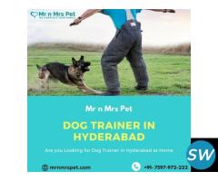 Professional Dog Trainer in Hyderabad