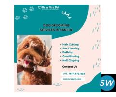 Dog Grooming Services at Home in Kanpur - 1