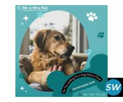 Best Dog Sitter in Pune at Affordable Price