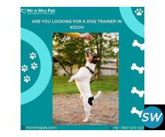 Best Dog Trainer in Kochi - 1