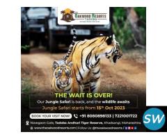 Hotels in tadoba