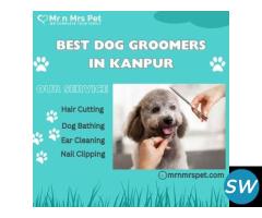 Professional Dog Groomers in Kanpur - 1