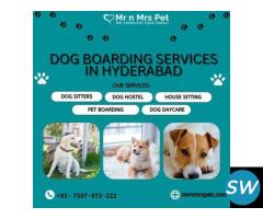 The Best Dog Boarding Services in Hyderabad - 1